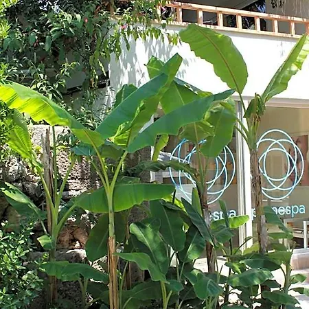 Sunprime Dogan - Adult Only Hotel Sidé